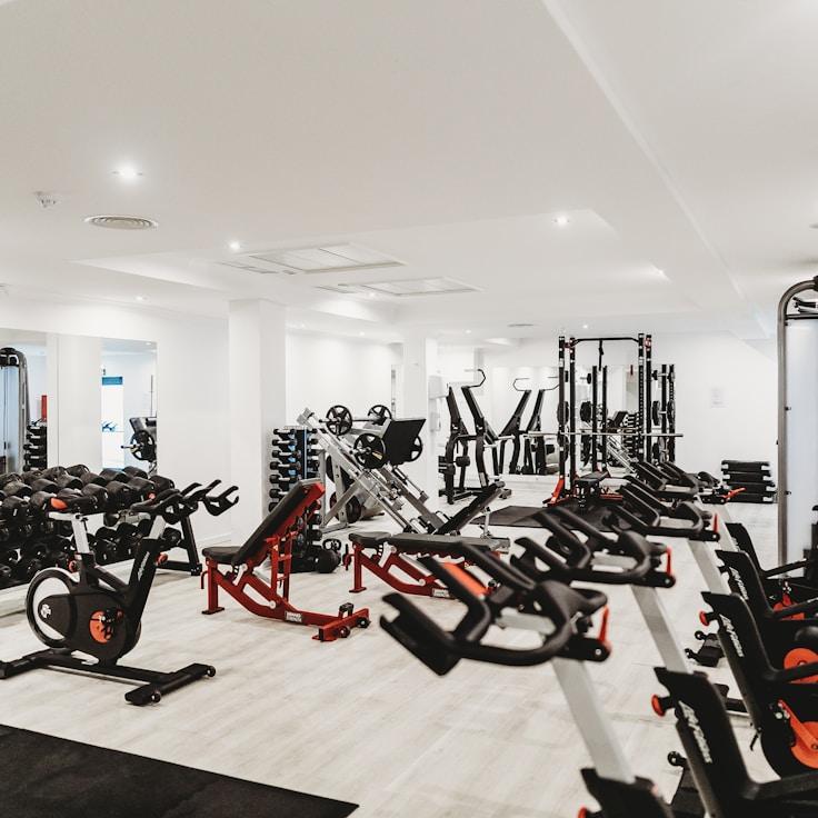 Professional gym interior with weight equipment